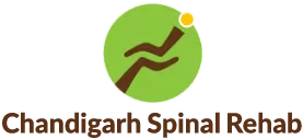 Chandigarh Spinal Rehab logo