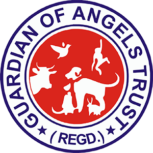 Guardian Of Angels Trust logo