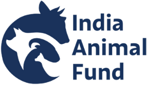 IAF India Animal Foundation (India Animal Fund) logo
