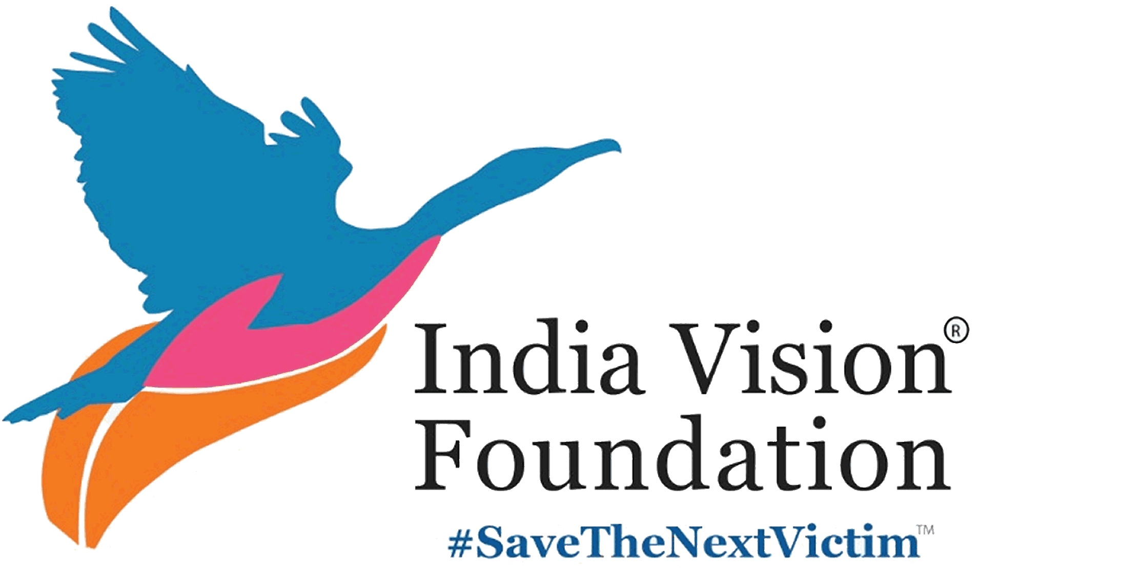India Vision Foundation logo
