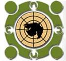 Navsarjan Trust logo