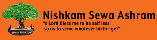 Nishkam Sewa Ashram logo